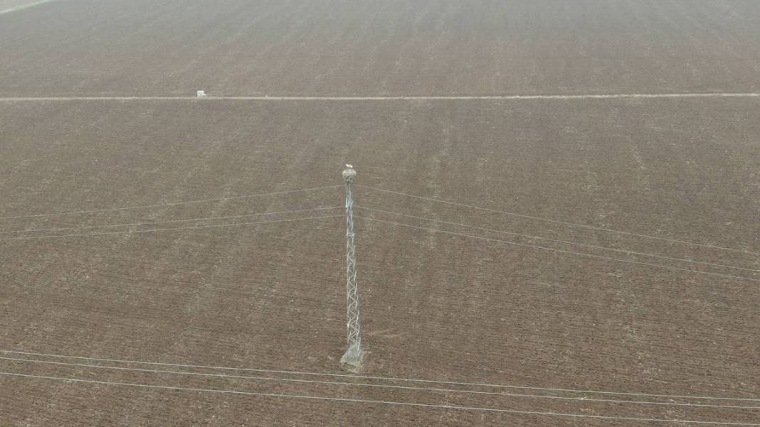 O kentte yüksek gerilim hattı direklerinde şoke eden görüntüler! 5 bin kilometre yoldan geldiler 3